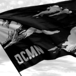 DCMN Flag