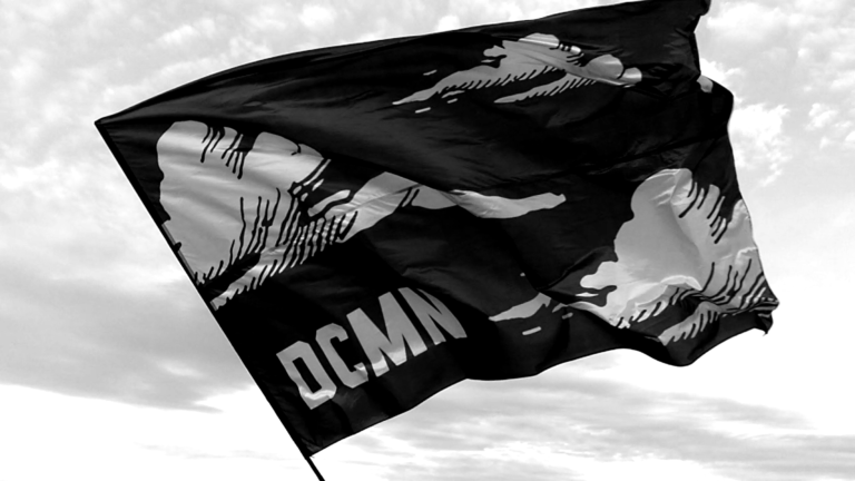 DCMN Flag